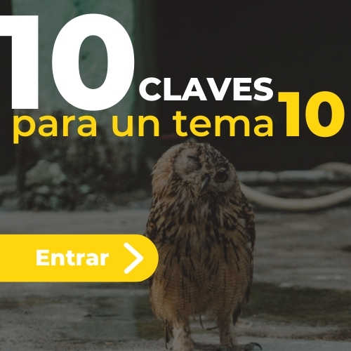 10 claves para un tema 10