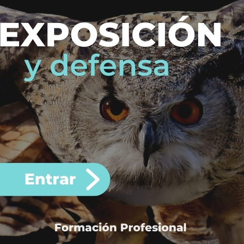 Exposición de la Programación y la Unidad Didáctica (Formación Profesional)