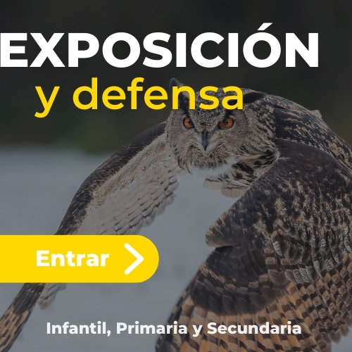 Exposición LOMLOE: Programación y unidad